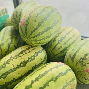  《高温下的坚守！pg电子土木“送清凉”，致敬最美工友》